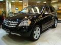 Black - ML 350 4Matic Photo No. 3