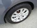 2008 Galaxy Gray Mica Mazda MAZDA3 i Touring Sedan  photo #7