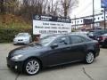 2008 Smoky Granite Mica Lexus IS 250 AWD  photo #1