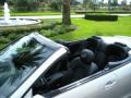 2007 Iridium Silver Metallic Mercedes-Benz CLK 350 Cabriolet  photo #9