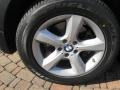 Alpine White - X5 3.0si Photo No. 4
