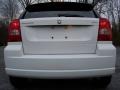 Stone White - Caliber SXT Photo No. 6