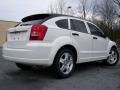 Stone White - Caliber SXT Photo No. 7