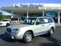 Champagne Gold Opalescent - Forester 2.5 XS L.L.Bean Edition Photo No. 1