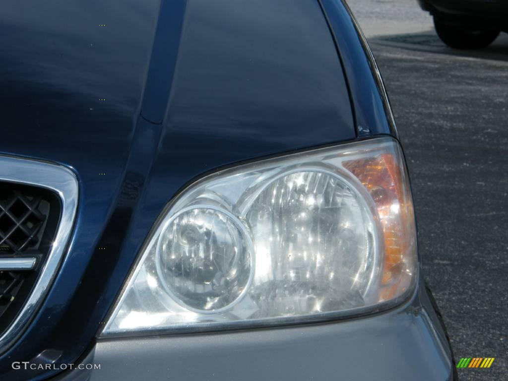 2004 Sedona EX - Imperial Blue / Gray photo #9