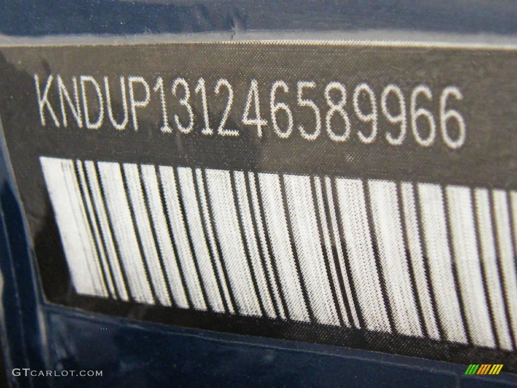 2004 Sedona EX - Imperial Blue / Gray photo #33