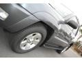 2004 Galactic Gray Mica Toyota 4Runner SR5  photo #3