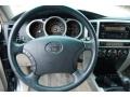 2004 Galactic Gray Mica Toyota 4Runner SR5  photo #10