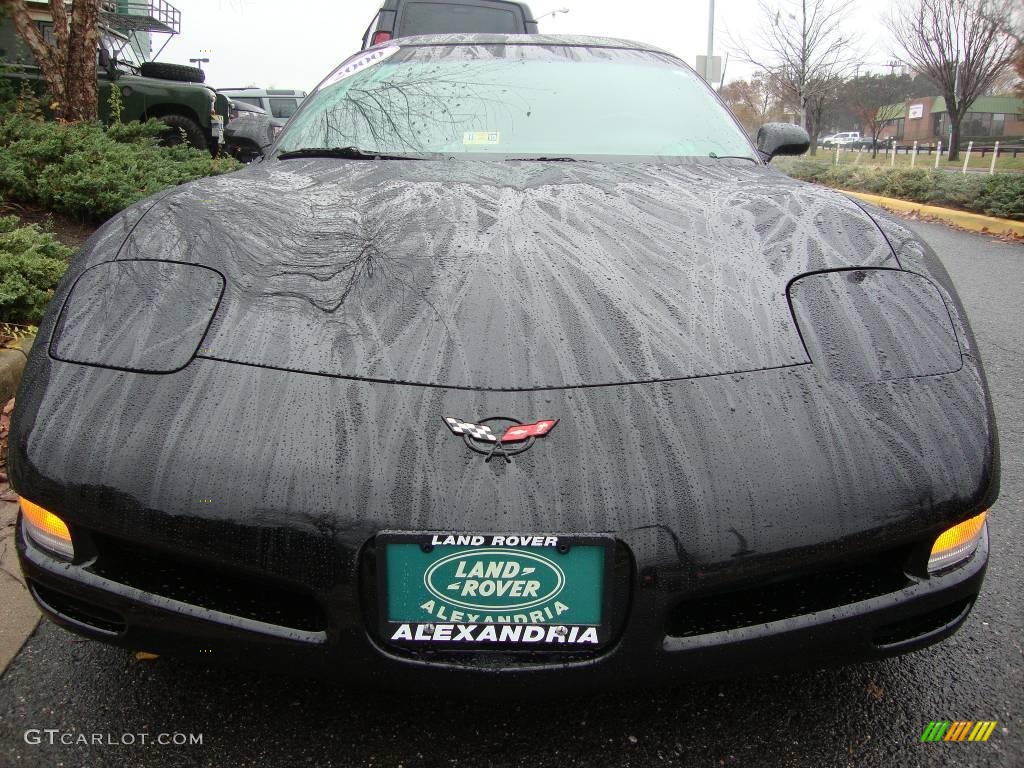 2000 Corvette Coupe - Black / Light Oak photo #7