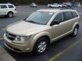 2010 White Gold Dodge Journey SE  photo #1