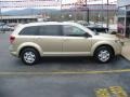 2010 White Gold Dodge Journey SE  photo #3