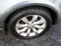 Diamond Graphite Metallic - FX 45 AWD Photo No. 19