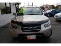 2007 Golden Beige Hyundai Santa Fe Limited 4WD  photo #2