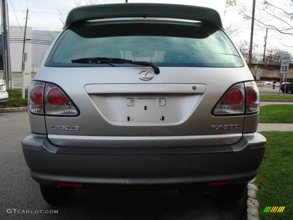 2001 RX 300 AWD - Millennium Silver Metallic / Black photo #6