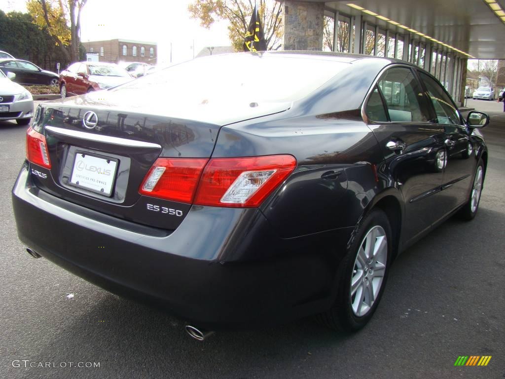 2009 ES 350 - Smokey Granite Mica / Light Gray photo #5