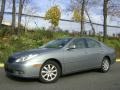 Thunder Cloud Metallic 2004 Lexus ES 330