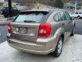 Light Khaki Metallic - Caliber SE Photo No. 4