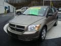 Light Khaki Metallic - Caliber SE Photo No. 8