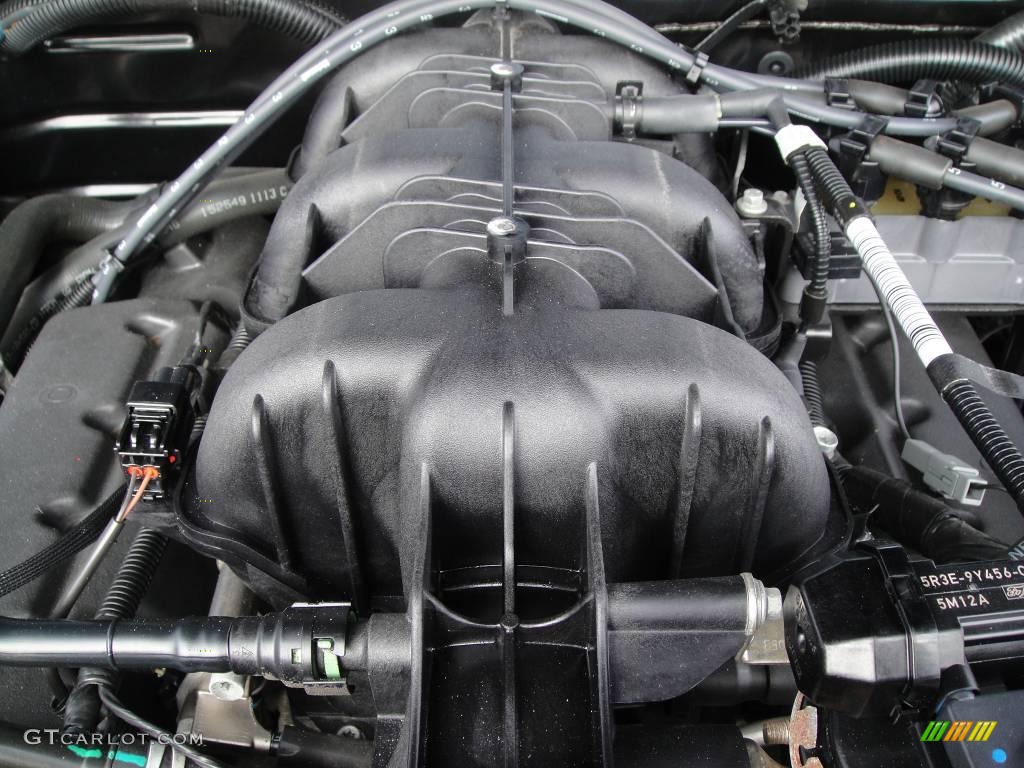 2006 Mustang V6 Deluxe Coupe - Black / Dark Charcoal photo #10