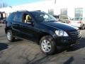 Black - ML 350 4Matic Photo No. 3