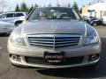 2008 Pewter Metallic Mercedes-Benz C 300 4Matic Luxury  photo #2