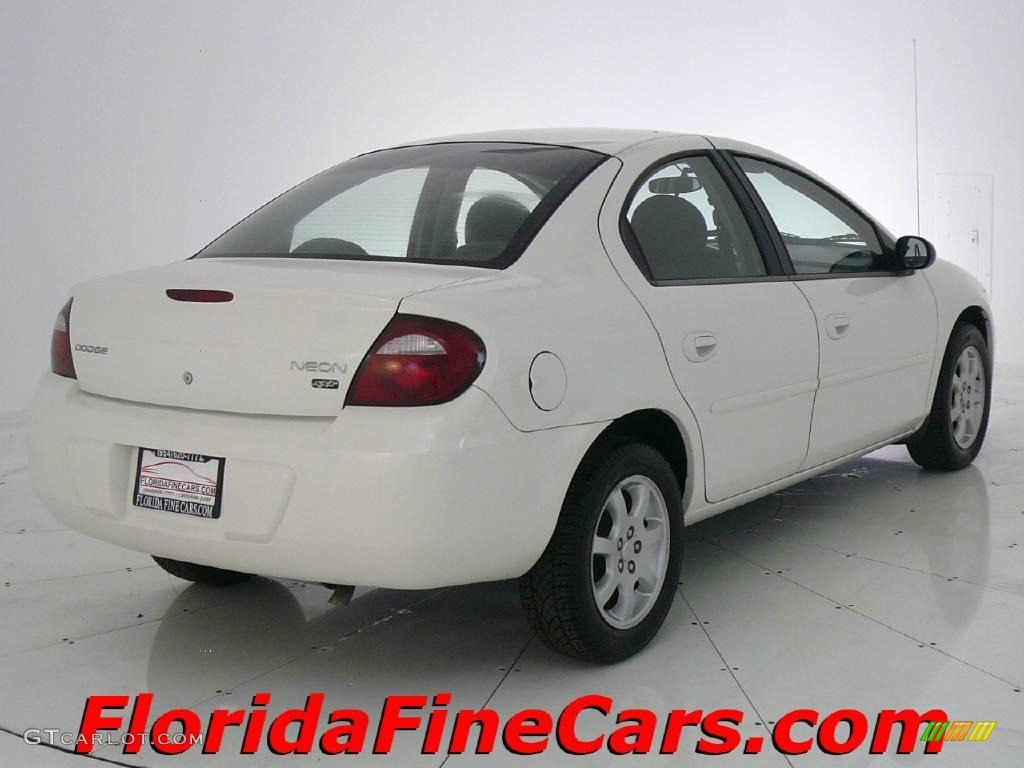 2005 Neon SXT - Stone White / Dark Slate Gray photo #2