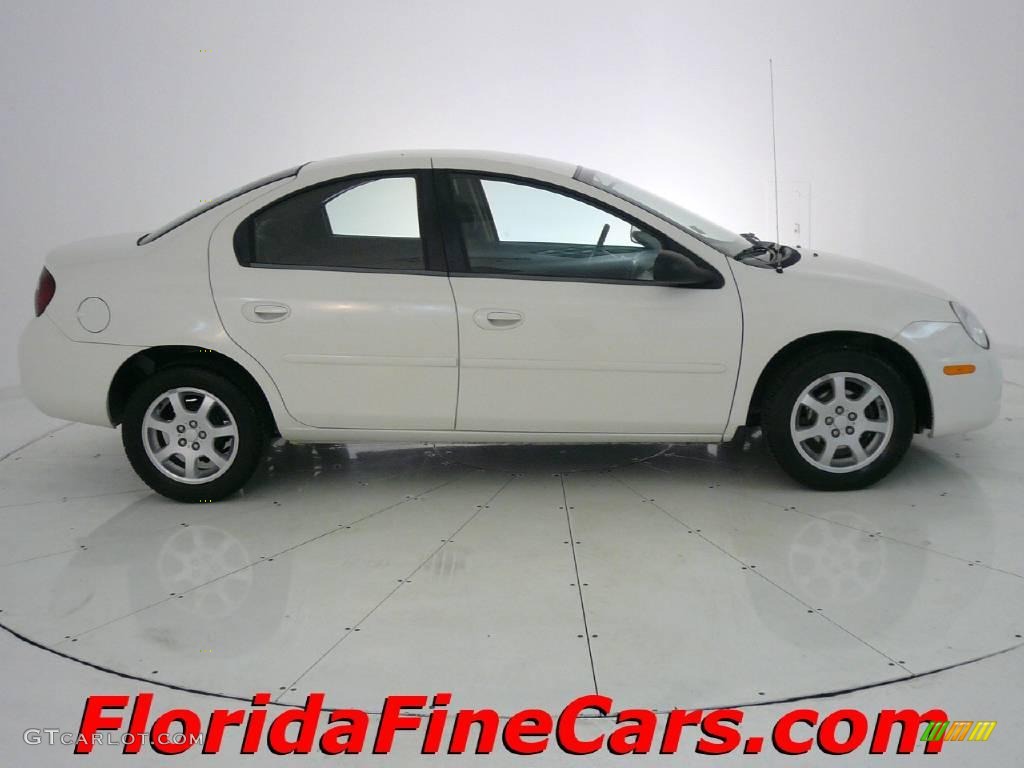 2005 Neon SXT - Stone White / Dark Slate Gray photo #4