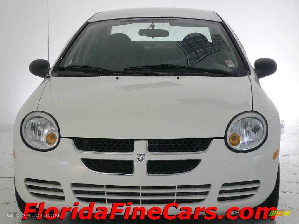2005 Neon SXT - Stone White / Dark Slate Gray photo #5