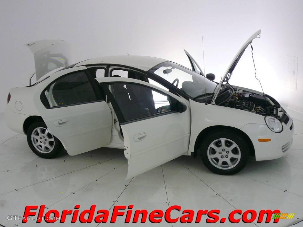 2005 Neon SXT - Stone White / Dark Slate Gray photo #7