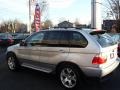 2002 Titanium Silver Metallic BMW X5 4.4i  photo #2