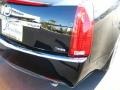 Black Raven - CTS 3.6 Sedan Photo No. 14