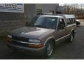 1998 Pewter Metallic Chevrolet S10 LS Regular Cab  photo #1