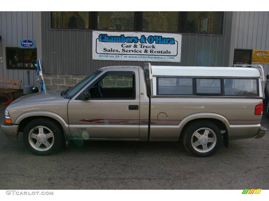1998 S10 LS Regular Cab - Pewter Metallic / Graphite photo #2