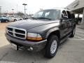 Graphite Metallic - Durango SLT 4x4 Photo No. 7