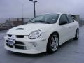 2005 Stone White Dodge Neon SRT-4  photo #1