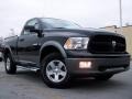 Brilliant Black Crystal Pearl 2010 Dodge Ram 1500 TRX4 Regular Cab 4x4