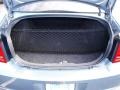 Silver Steel Metallic - Charger R/T Photo No. 5