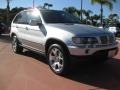 2001 Titanium Silver Metallic BMW X5 4.4i  photo #3