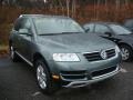 Reed Green Metallic - Touareg V8 Photo No. 1