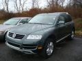 Reed Green Metallic - Touareg V8 Photo No. 5