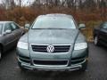 Reed Green Metallic - Touareg V8 Photo No. 6