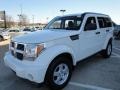 Stone White - Nitro SE 4x4 Photo No. 7