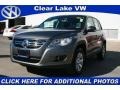 Alpine Grey Metallic - Tiguan S Photo No. 1