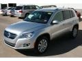 Reflex Silver Metallic - Tiguan SE Photo No. 11