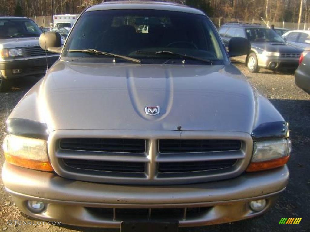 1999 Durango SLT 4x4 - Light Driftwood Satin Glow / Mist Gray photo #1