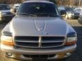 1999 Light Driftwood Satin Glow Dodge Durango SLT 4x4  photo #1