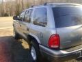 1999 Light Driftwood Satin Glow Dodge Durango SLT 4x4  photo #5