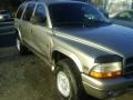 1999 Light Driftwood Satin Glow Dodge Durango SLT 4x4  photo #6