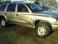 1999 Light Driftwood Satin Glow Dodge Durango SLT 4x4  photo #10