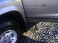 1999 Light Driftwood Satin Glow Dodge Durango SLT 4x4  photo #17